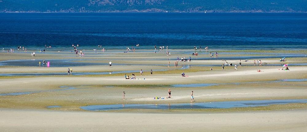 The Beach Club Resort — Bellstar Hotels & Resorts Parksville Eksteriør billede